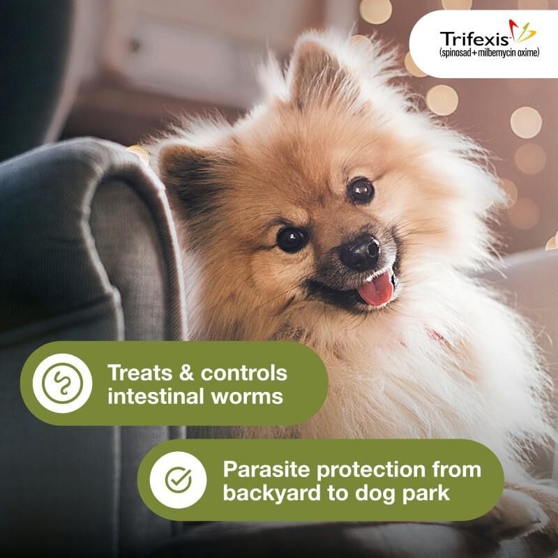Trifexis Beef Flavored Flea & Tick Chewables for Dogs