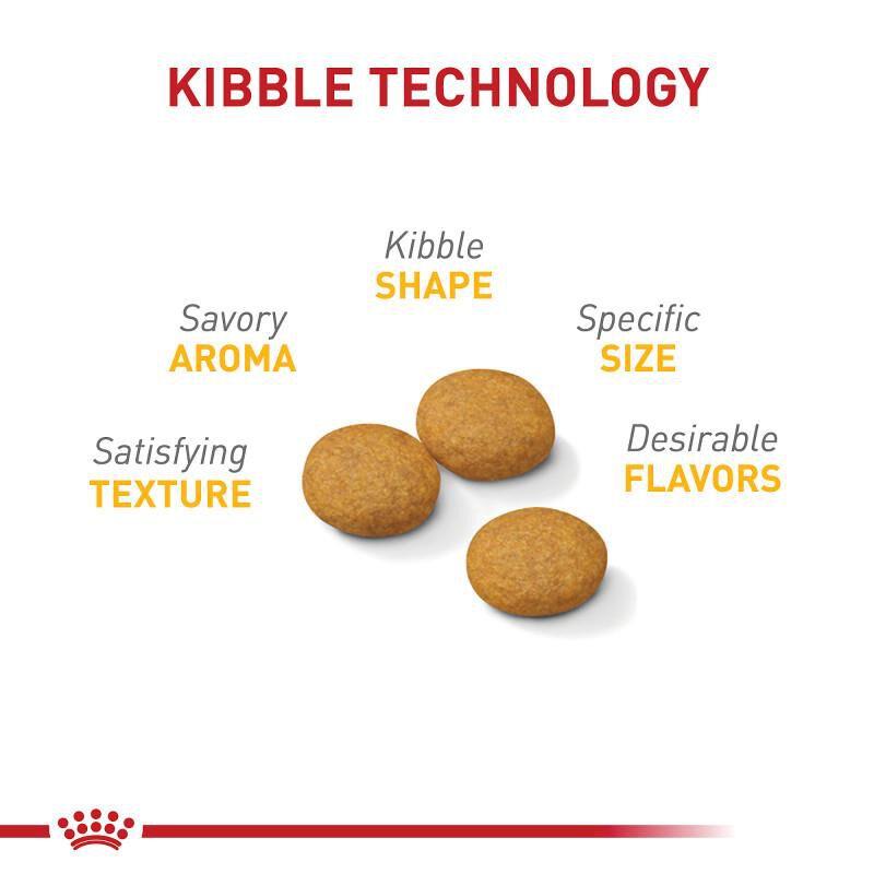 Royal Canin Canine Care Nutrition Adult Medium Sensitive Skin Care Dry Dog Food