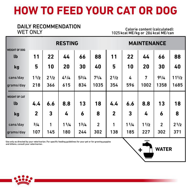 Royal Canin Veterinary Diet Adult Recovery Ultra Soft Mousse in Sauce Canned Dog & Cat Food, 24 x 5.1 oz cans