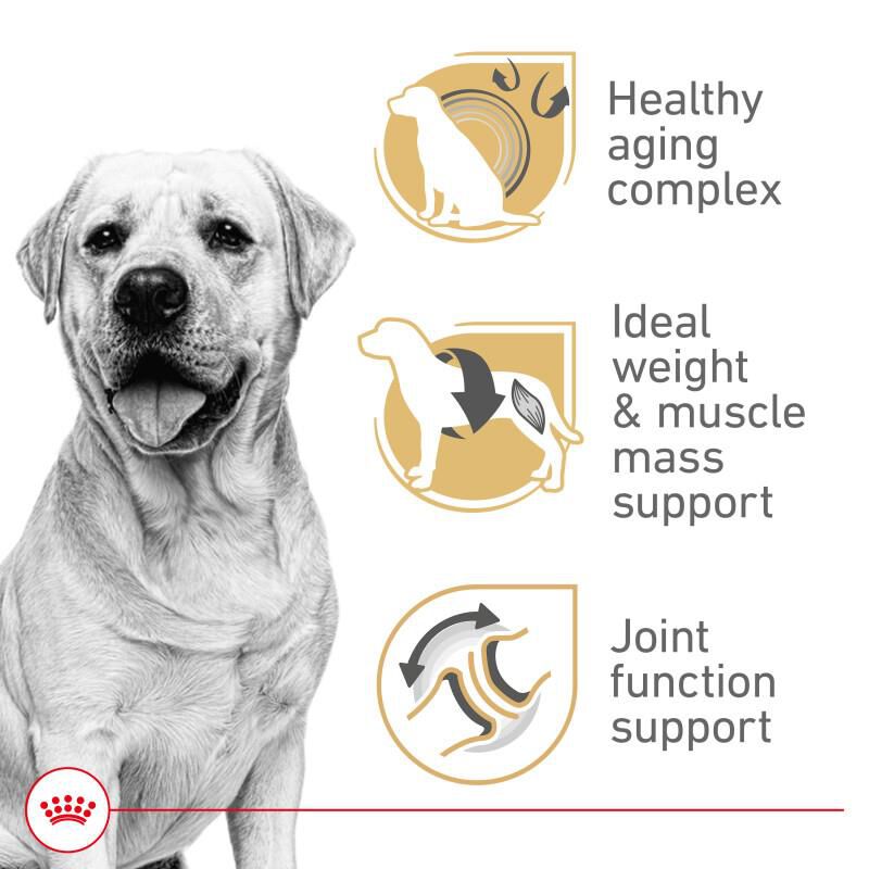 Royal Canin Breed Health Nutrition Labrador Retriever Adult 5+ Dry Dog Food, 28 lb bag