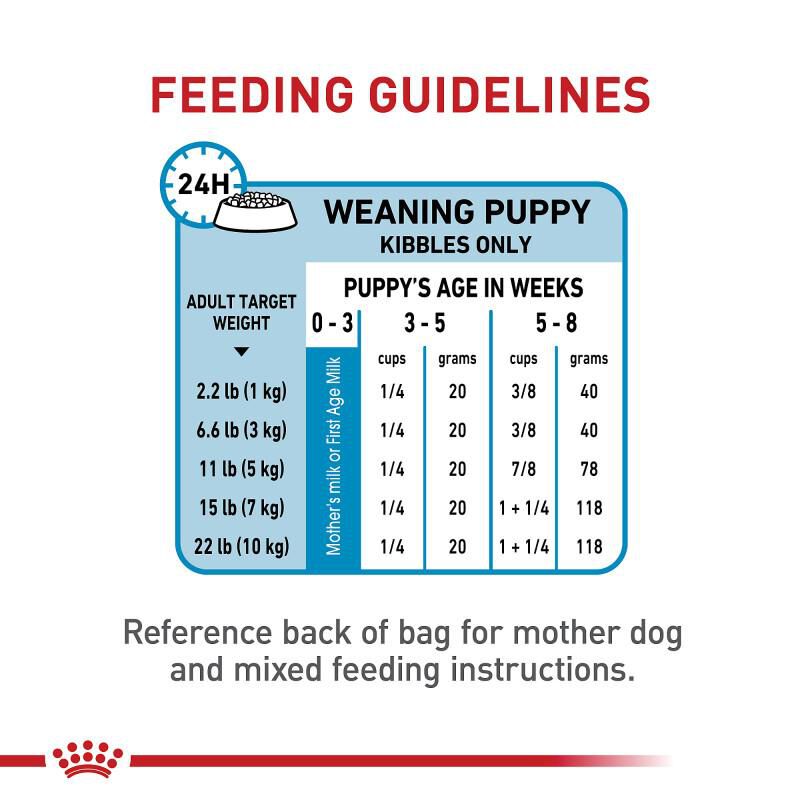 Royal Canin Size Health Nutrition Small Starter Mother & Babydog Dry Food