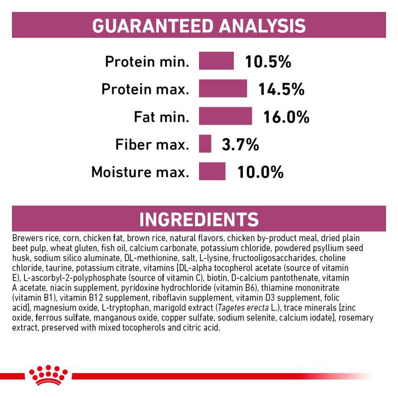 Royal Canin Veterinary Diet Adult Renal Support S Dry Dog Food, 6 lb bag