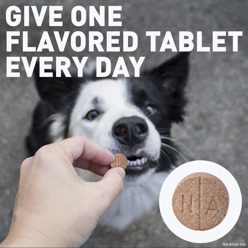 Deramaxx Chewable Tablets for Dogs 75 mg, 30 Ct.