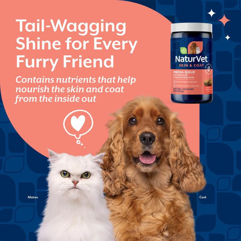 NaturVet Omega Gold Plus Salmon Oil Soft Chews, 180 Ct