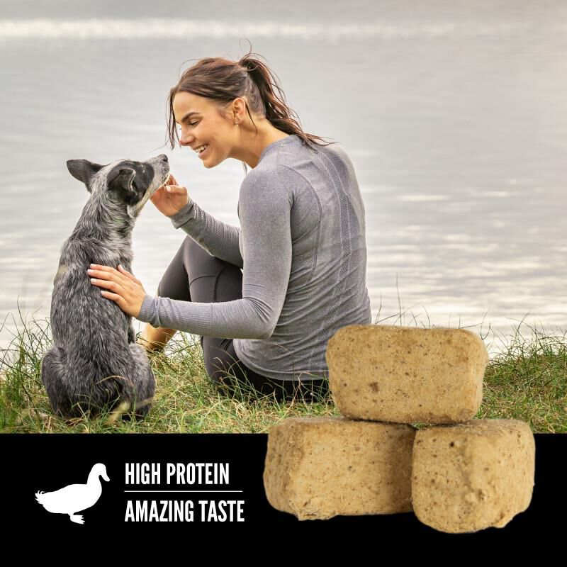 Orijen Free-Run Duck Freeze-Dried Dog Treats, 3.25 oz