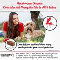 Heartgard Plus Chewable for Dogs 51-100 lbs Brown, 12 Month Supply