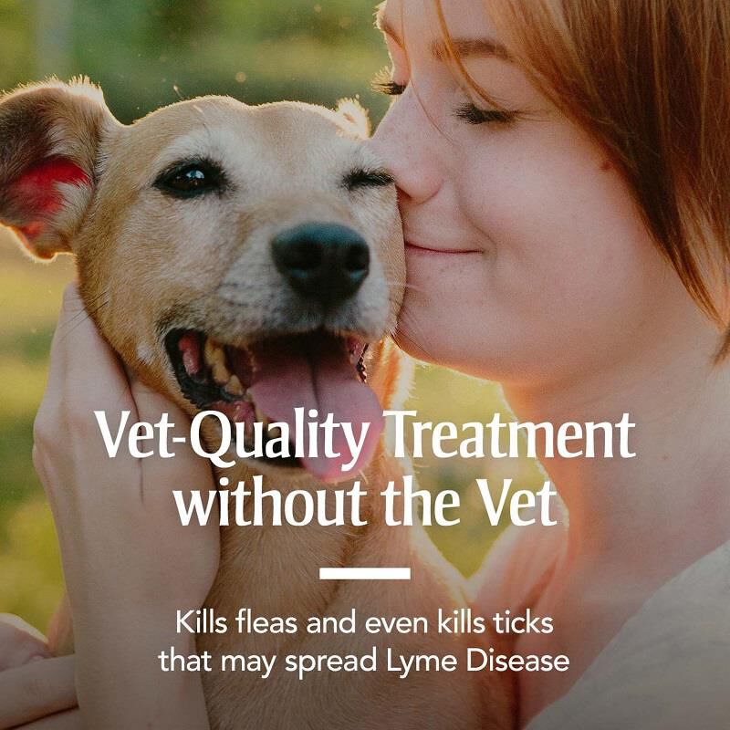 PetArmor Plus Flea and Tick Prevention for Large Breed Dogs (45 to 88 Pounds) Topical, 3 Monthly Treatments