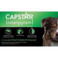 Capstar Flea Tablets for Dogs 25 lbs & Up Green, 6 Ct.
