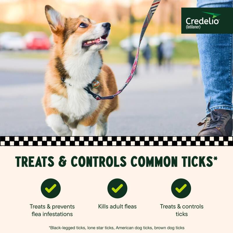 Credelio Flea & Tick Chewable Tablets for Dogs & Puppies 12.1-25 lbs (225 mg) Orange, 3 Month Supply