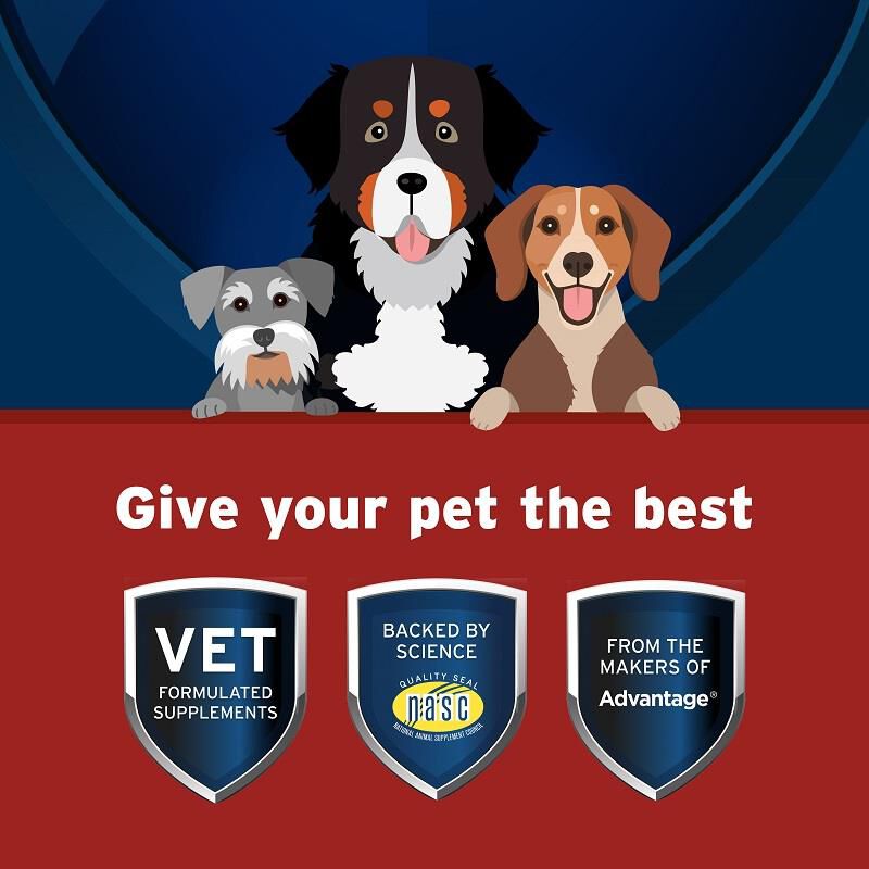 Pet Protect Hip & Joint + Synovi G4 Soft Chews for Dogs, 240 Ct.