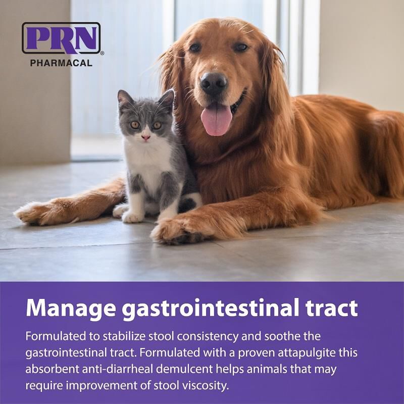 Endosorb AntiDiarrheal Tablets For Dogs & Cats