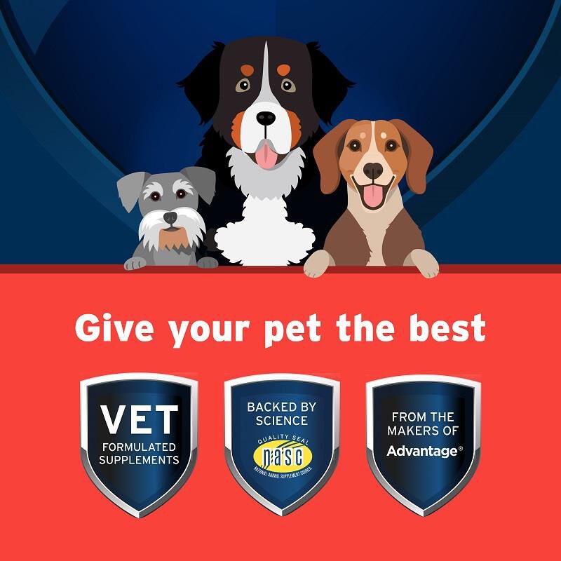 Pet Protect Hip & Joint Synovi G3 Soft Chews for Dogs, 240 Ct.