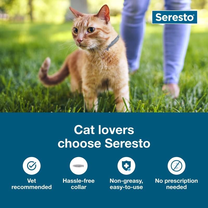 Seresto for Cats with Fleas and Ticks (2 collars)