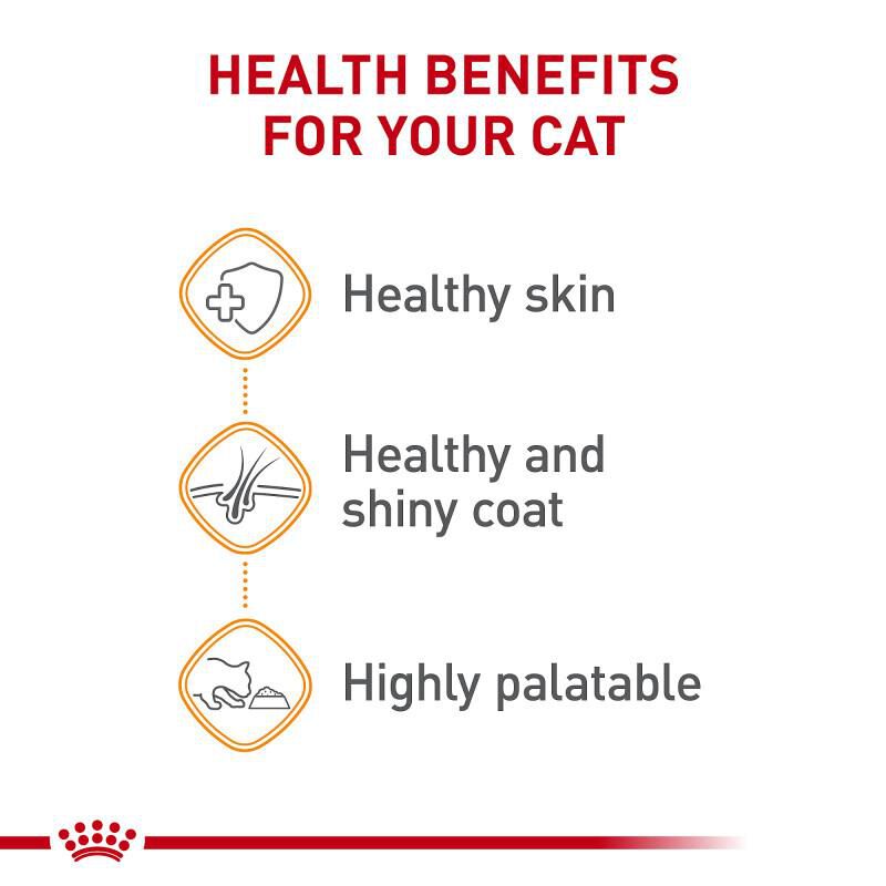 Royal Canin Feline Care Nutrition Adult Hair & Skin Care Loaf in Sauce Canned Cat Food, 24 x 5.1 oz cans