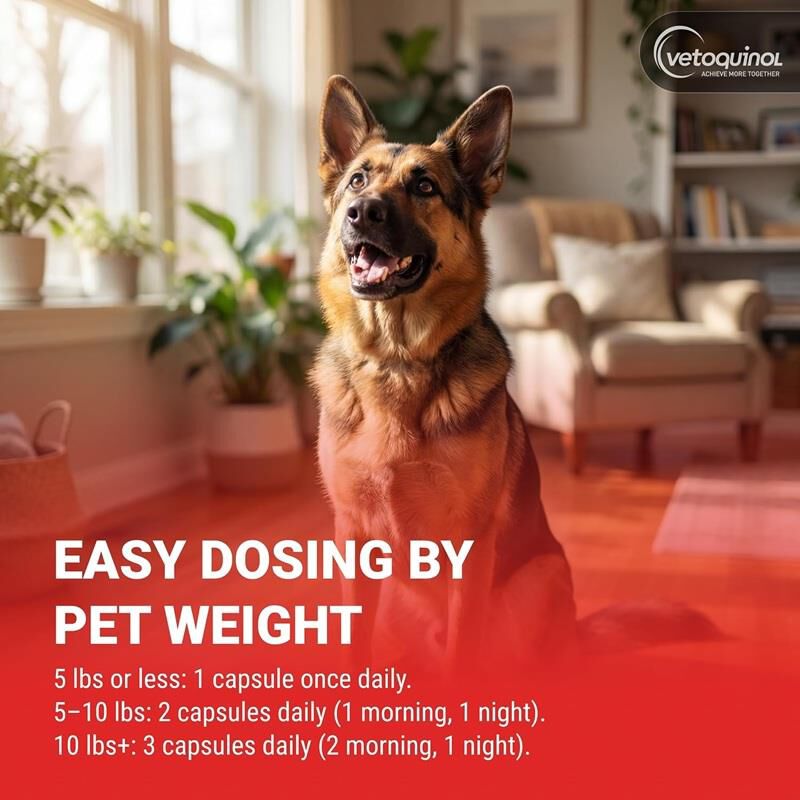 Vetoquinol Azodyl Small Caps for Cats and Dogs, 90 Count