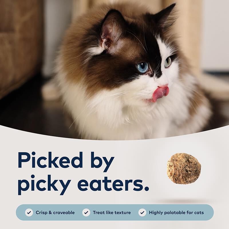ZIWI Peak Steam & Dried Beef with Southern Blue Whiting Recipe Cat Food, 4.9 lb