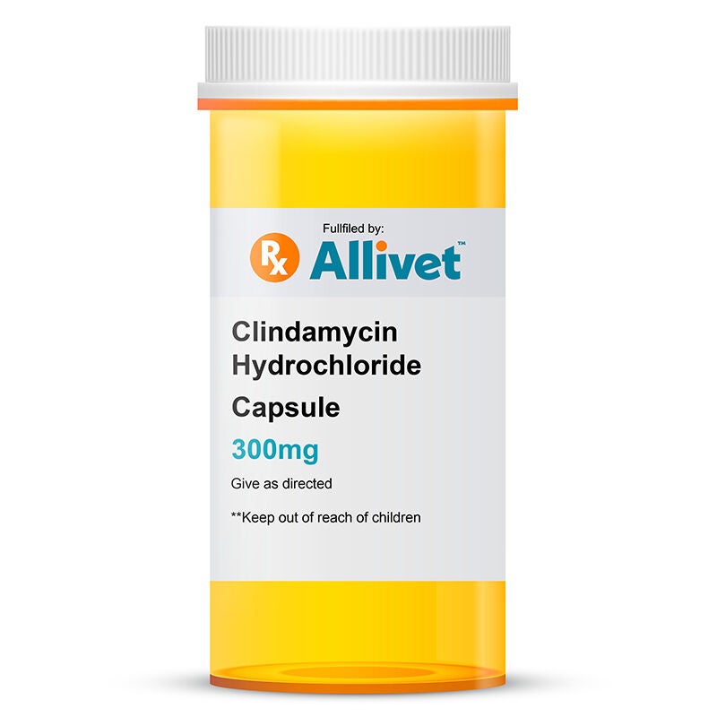 Clindamycin Hydrochloride 300 mg Capsule