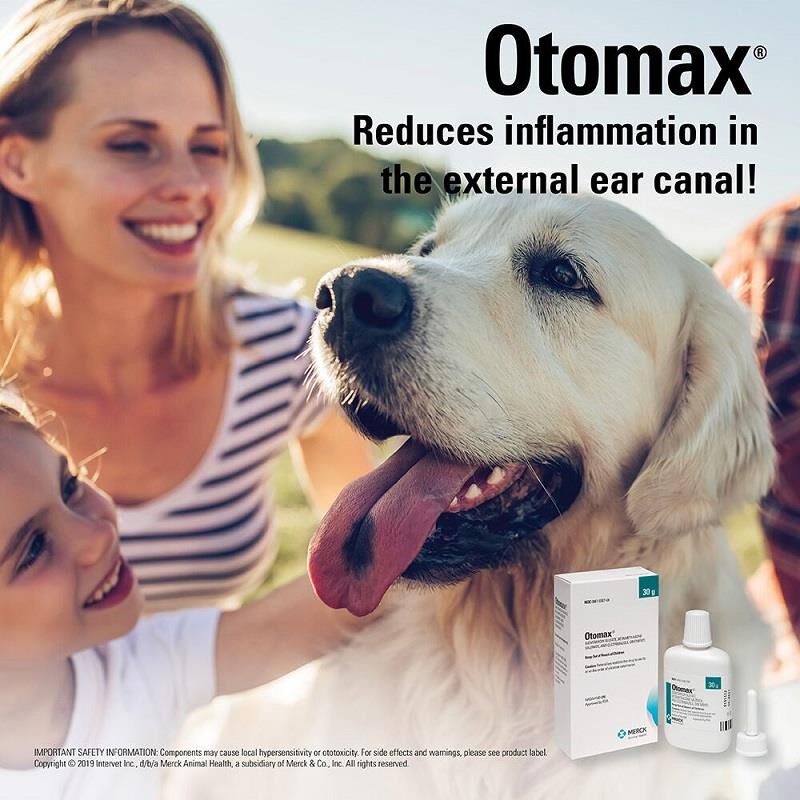 Buy Otomax Ear Ointment Otomax for Dogs And Cats Allivet