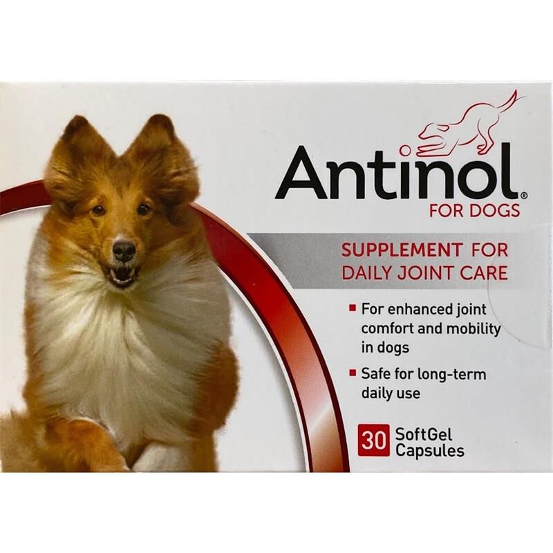 Antinol for Dogs Softgel Capsules Allivet Pet Pharmacy