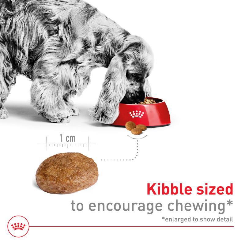 Royal Canin Size Health Nutrition Medium Adult 7+ Dry Dog Food, 30 lb bag