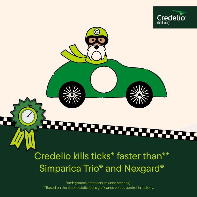 Credelio Flea & Tick Chewable Tablets for Dogs & Puppies