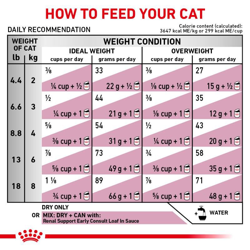 Royal Canin Veterinary Diet Adult Renal Support Early Consult Dry Cat Food