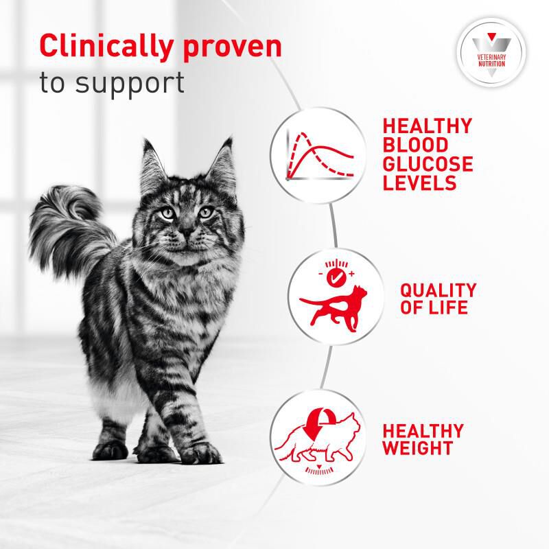Royal Canin Veterinary Diet Glycoadvanced Dry Food for Diabetic Cats