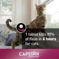 Capstar Flea Tablets for Cats 2-25 lbs Purple, 6 Ct.