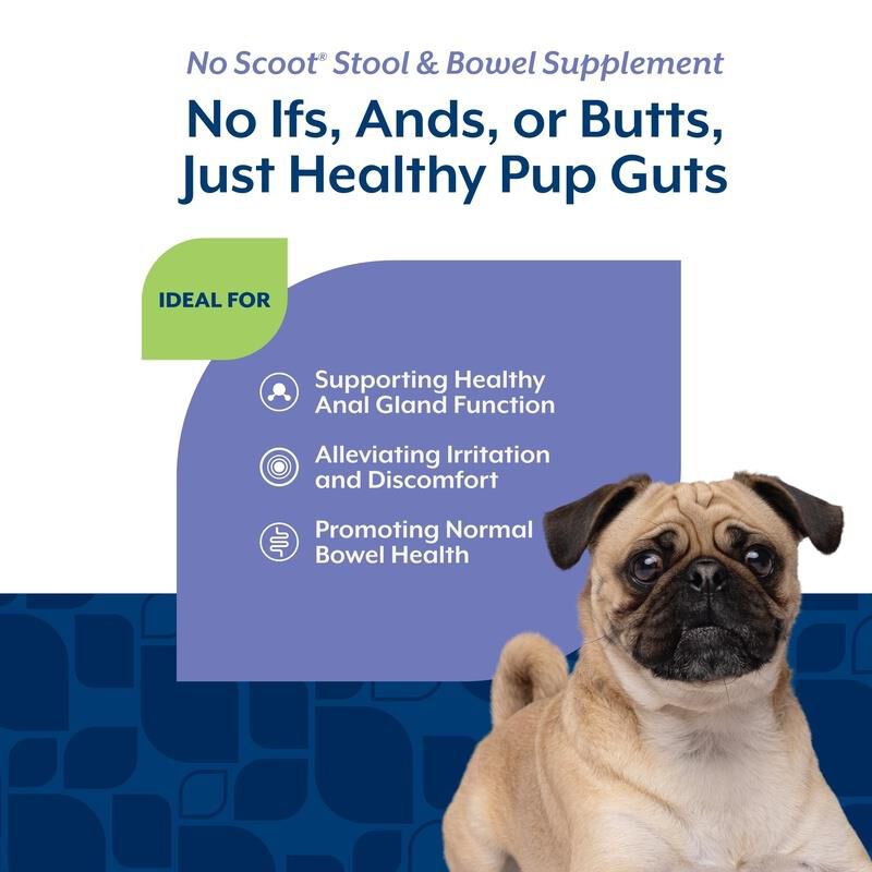 NaturVet No Scoot for Dogs, 60 Soft Chews