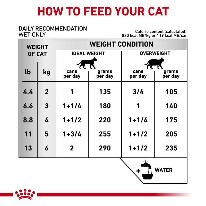 Royal Canin Veterinary Diet Adult Urinary SO Loaf in Sauce Canned Cat Food, 6 x 5.1 oz cans