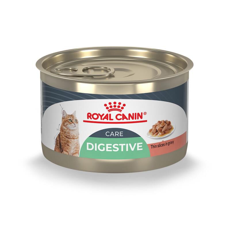 Royal Canin Feline Care Nutrition Digestive Care Adult Gravy Canned Cat Food, 24 x 5.1 oz cans