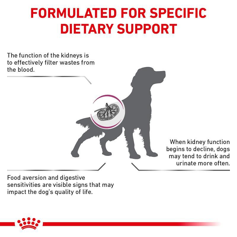 Royal Canin Veterinary Diet Adult Renal Support F Dry Dog Food