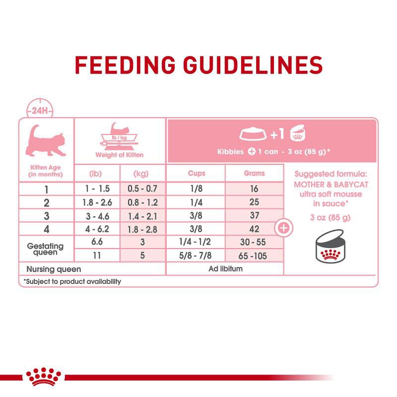 Royal Canin Feline Health Nutrition Mother & Babycat Ultra Soft Mousse in Sauce Canned Cat Food, Case of 24