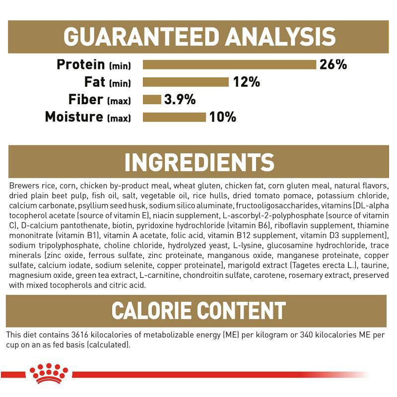 Royal Canin Breed Health Nutrition Dachshund Adult 8+ Dry Dog Food, 3 lb bag