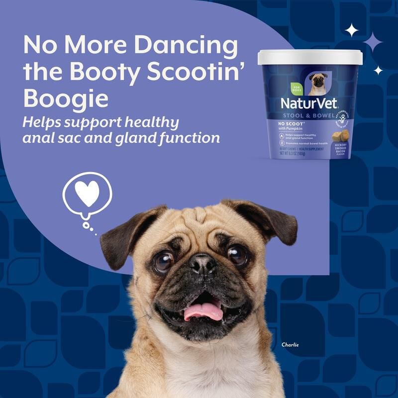 NaturVet No Scoot for Dogs, 60 Soft Chews