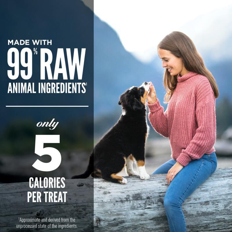 Orijen Original Freeze-Dried Dog Treats