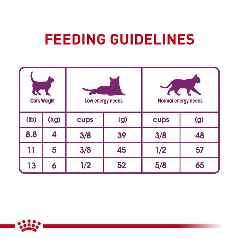 Royal Canin Feline Health Nutrition Sensitive Digestion Adult Dry Cat Food