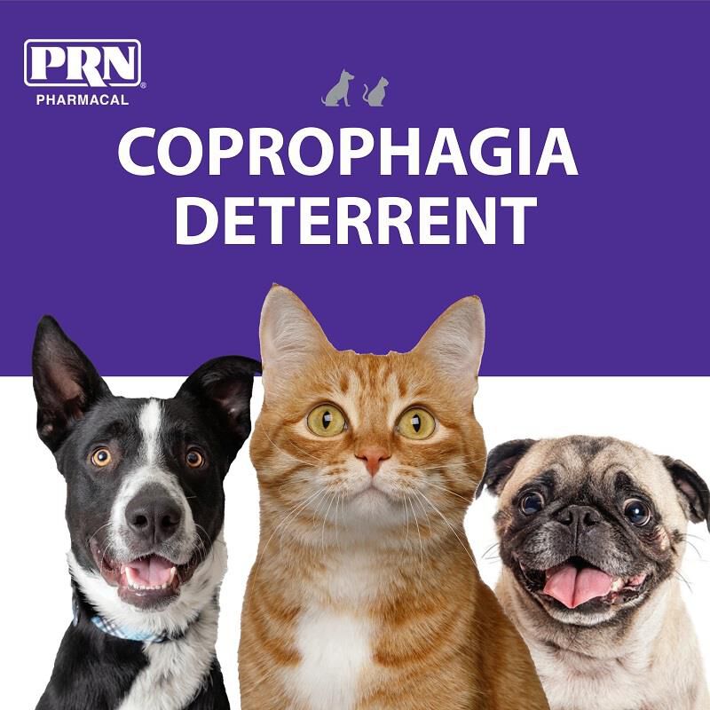 PRN Pharmacal CoproBan Soft Chews for Cats and Dogs, 40 Count