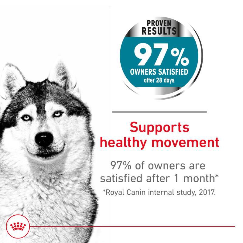 Royal Canin Canine Care Nutrition Adult Large Joint Care Dry Dog Food, 30 lb bag
