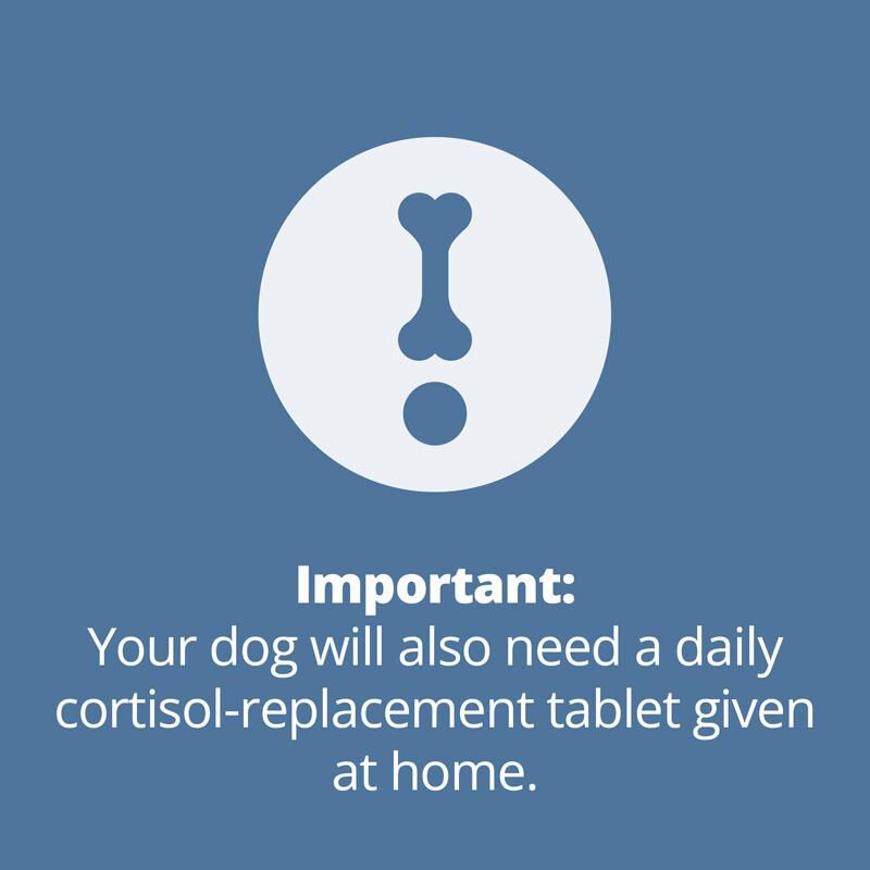 Zycortal Suspension for Dogs, 25 mg/ml, 4 ml Vial