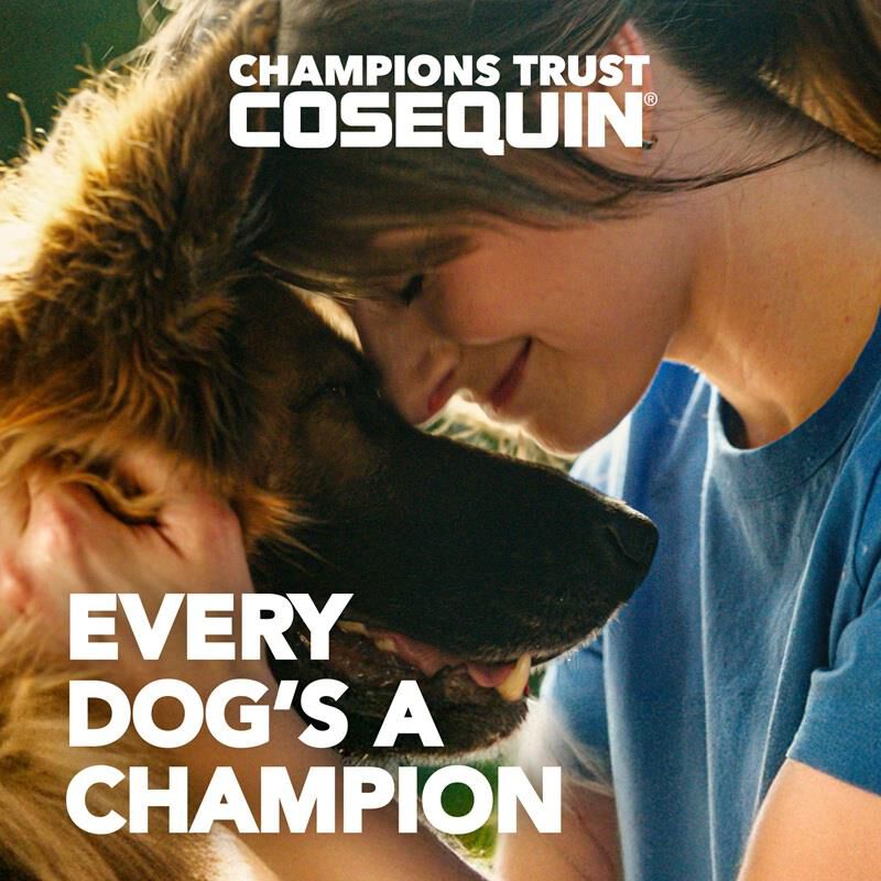 Cosequin Max Strength Joint Supplement for Dogs w/MSM plus Omega-3's