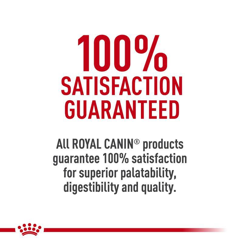 Royal Canin Canine Care Nutrition Adult Large Digestive Care Dry Dog Food, 30 lb bag
