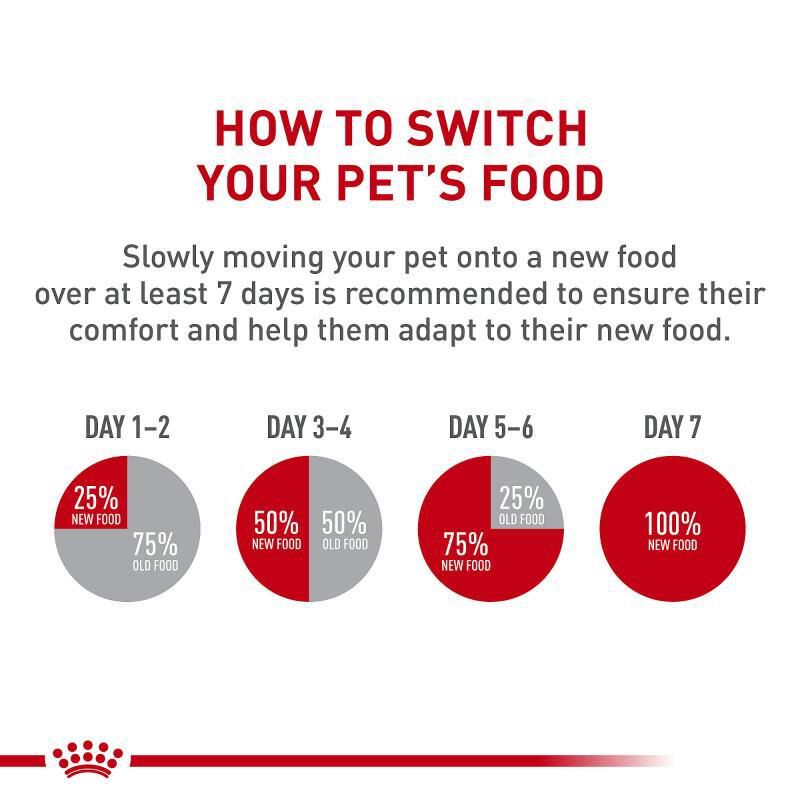Royal Canin Veterinary Diet Adult Renal Support D Thin Slices in Gravy Canned Cat Food, 24 x 3 oz cans