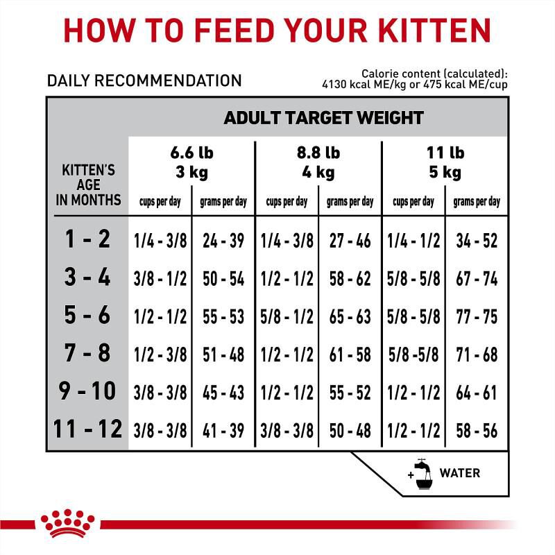 Royal Canin Veterinary Diet Gastrointestinal Kitten Dry Food, 4.4 lb bag