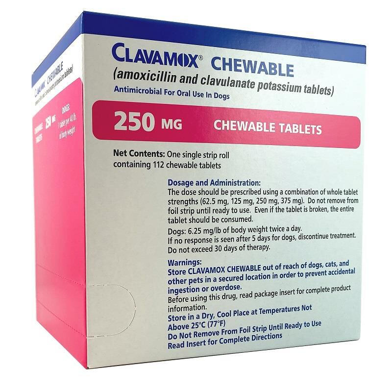 Clavamox Chewable Tablet, 250 mg