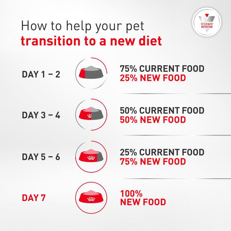 Royal Canin Veterinary Diet Adult Glycobalance Dry Dog Food