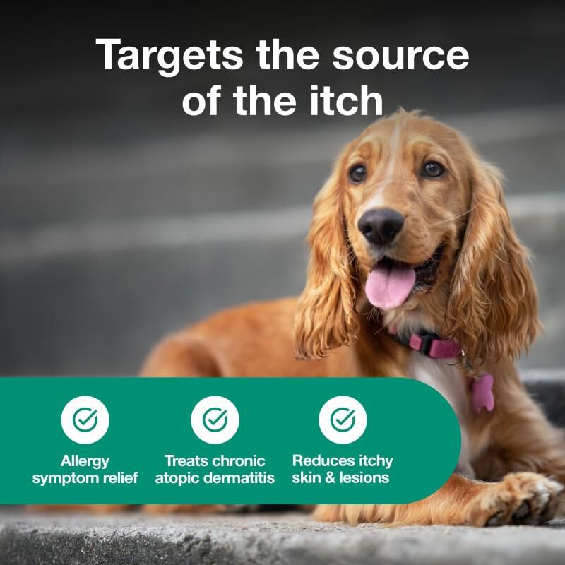 Atopica Capsules for Dogs