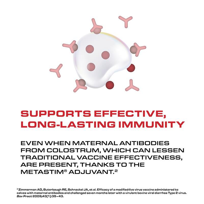 Pyramid 5 + Presponse SQ Cattle Vaccine