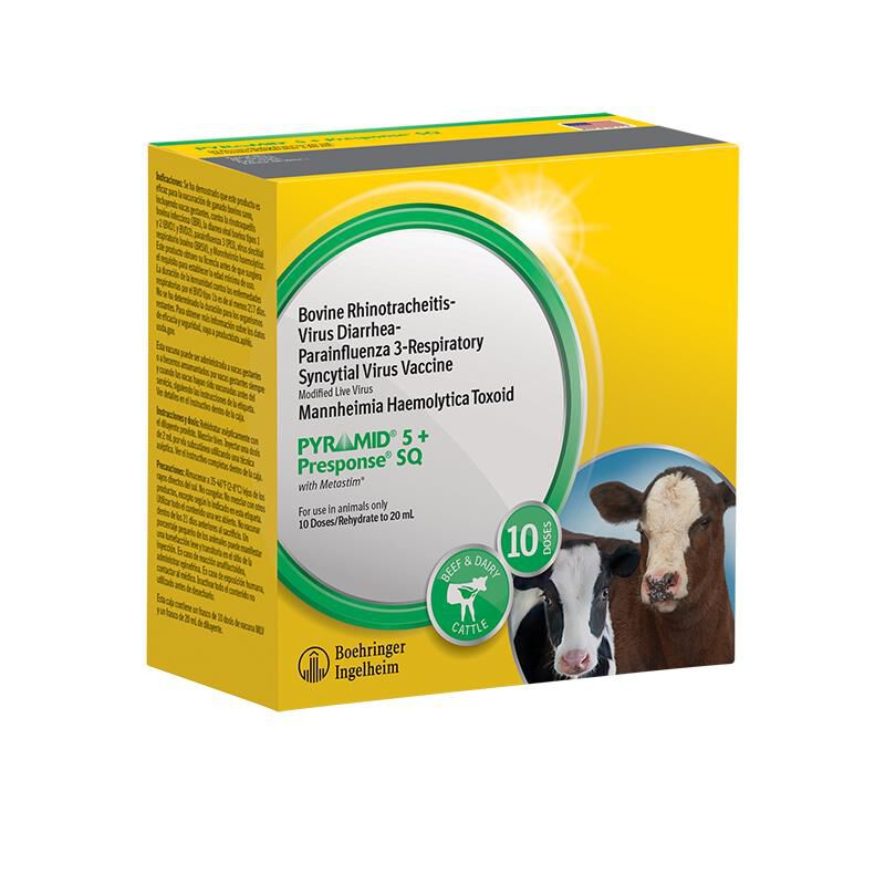 Pyramid 5 + Presponse SQ Cattle Vaccine