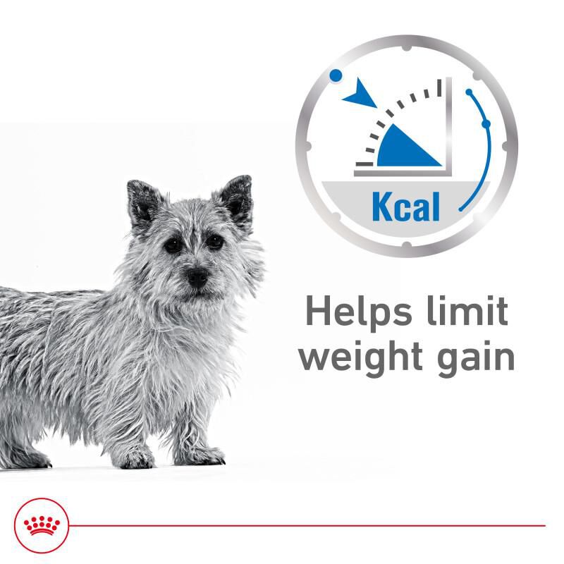Royal Canin Canine Care Nutrition Adult Weight Care Loaf in Sauce Canned Dog Food